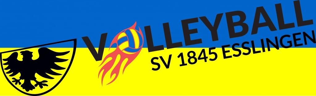 volleyball esslingen ukraine