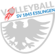 volleyball-sv1845-esslingen_logo_grau-e1729171178647.png